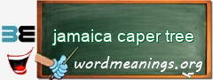 WordMeaning blackboard for jamaica caper tree